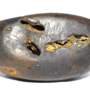 Madhusudhan Shaligram