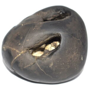Pattabhi Rama Shaligram