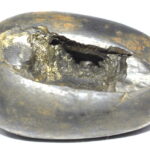 Laxmi Narsimha Shaligram