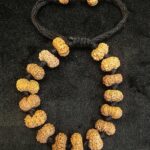 13 Mukhi Rudraksha Bracelet - KamaDeva Bracelet