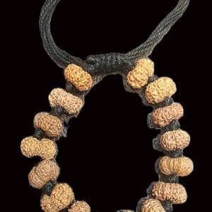 14 Mukhi Rudraksha Bracelet