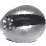 Varaha Shaligram - AnkushaKara Bhu Varaha Salagram
