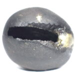 Govarddhana Shaligram