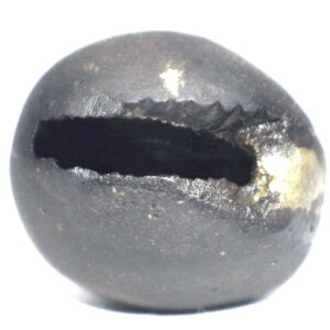 Govarddhana Shaligram