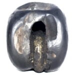 Sacred Golden Bhur Bhavas Gayatri Kamal Laxmi Kalpavriksha Vaikuntha Shaligram
