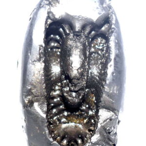 Sacred Adwaitya Maa KaalRatri Navdurga Shaligram