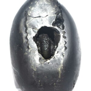 Sacred Adwaitya Golden Bhadra Chamunda Mahakali Shaligram