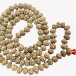 7 Mukhi Rudraksha Mala - 108 Beads - 8 mm