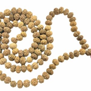 7 Mukhi Rudraksha Mala - 108 Beads - 8 mm