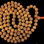 5 Mukhi Rudraksha Kantha - Nepal - 14 mm